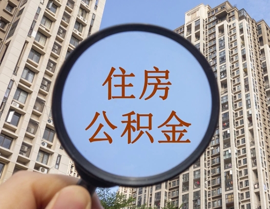 公积金利率怎么查询-林州公积金代办平台